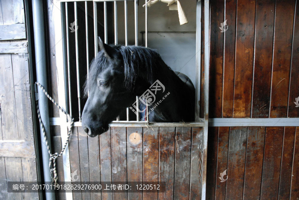 黑馬02