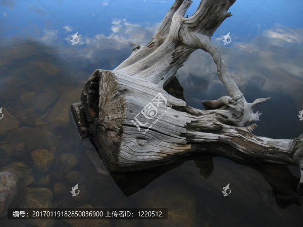 水里的老殘端