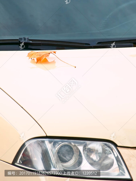 閥蓋上的前照燈和葉-匯圖網(wǎng) www.fosd68.com 閥蓋上的前照燈和葉