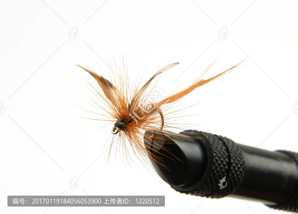 釣魚