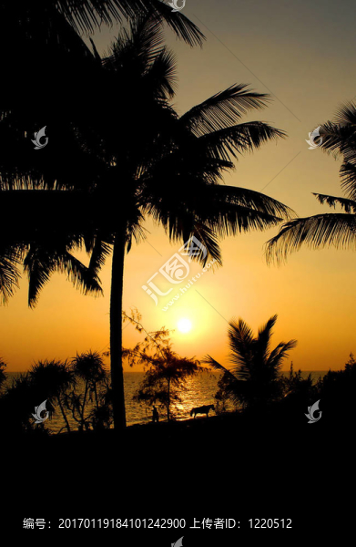 中國(guó)熱帶海灘-匯圖網(wǎng) www.fosd68.com 中國(guó)熱帶海灘