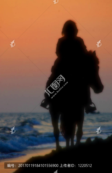 海灘上的馬