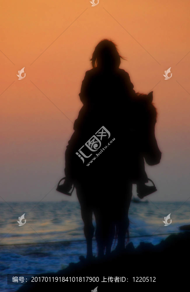 海灘上的馬