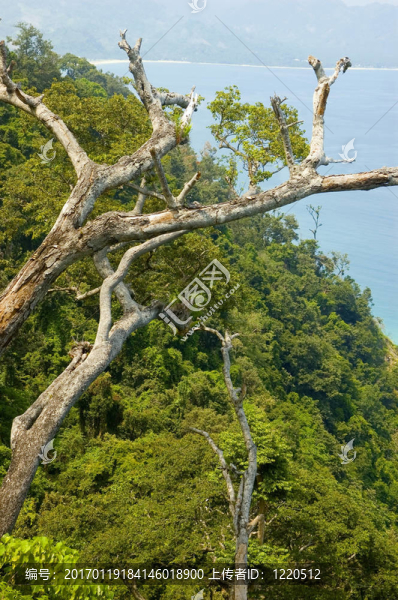 奧羅拉省菲律賓海灘