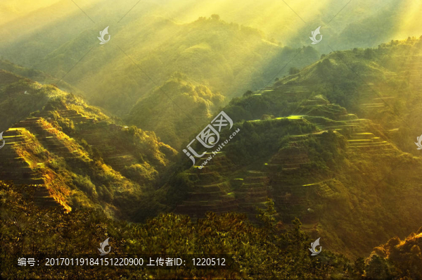 巴拿威的日出