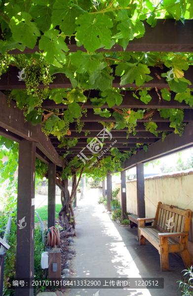 一個(gè)和平的走道。