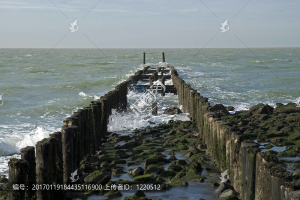 荷蘭防波堤北灘