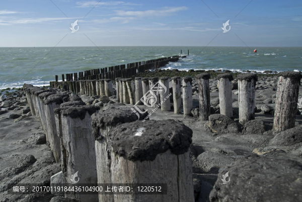 荷蘭防波堤北灘