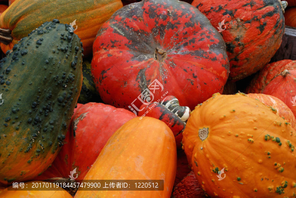 哦，我的Gourd！