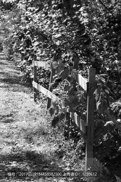 柵欄2-匯圖網(wǎng) www.fosd68.com 柵欄2