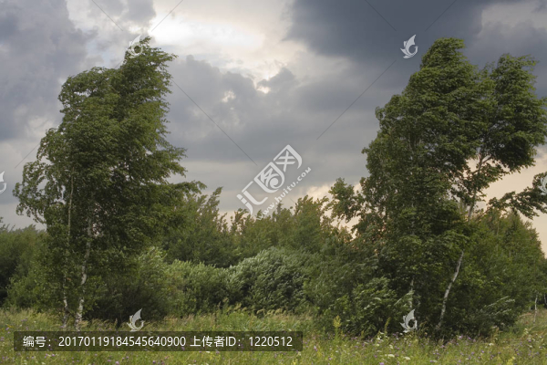 夏季風(fēng)暴