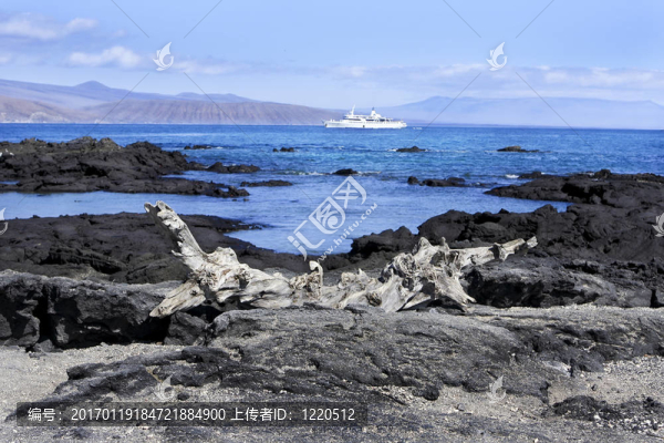 640海景加拉帕戈斯群島