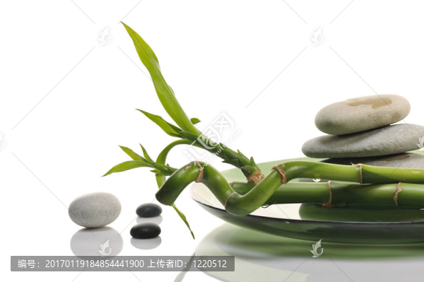 竹