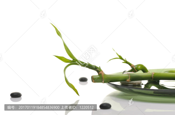 竹