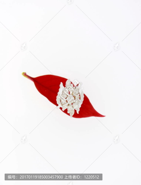 鉆石戒指