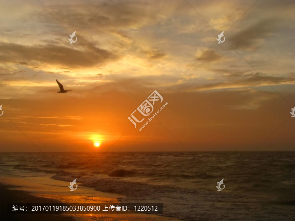 海灘日出