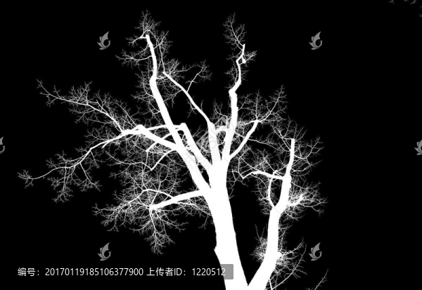 樹-匯圖網(wǎng) www.fosd68.com 樹