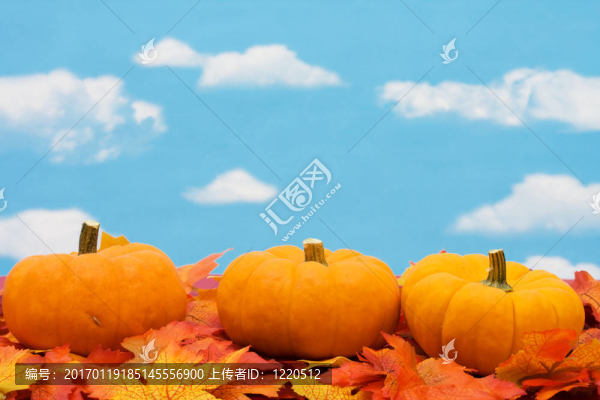 秋天的收獲-匯圖網(wǎng) www.fosd68.com 秋天的收獲