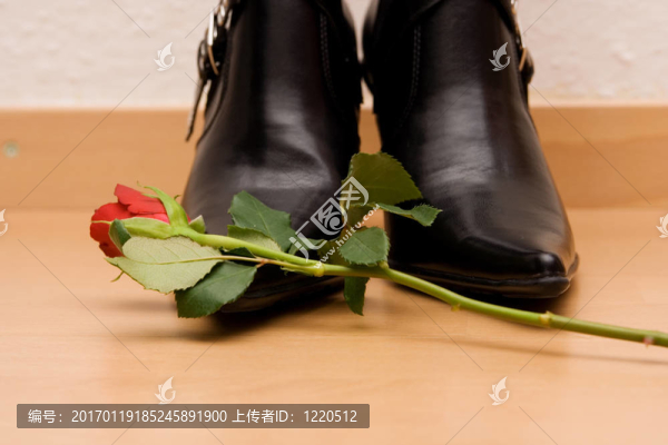 紅玫瑰躺在BLA