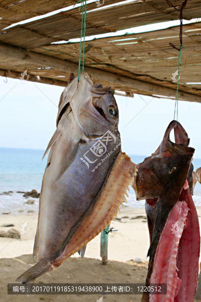 懸魚(yú)