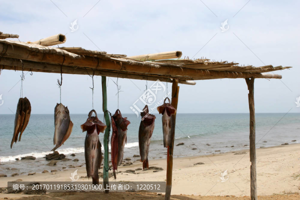 干魚