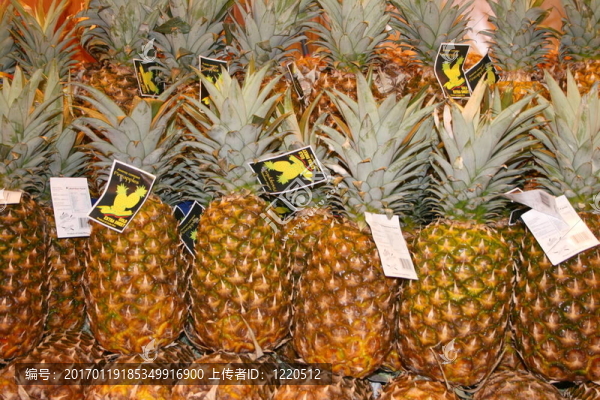 菠蘿
