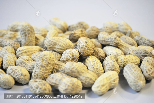 準(zhǔn)備吃烤花生