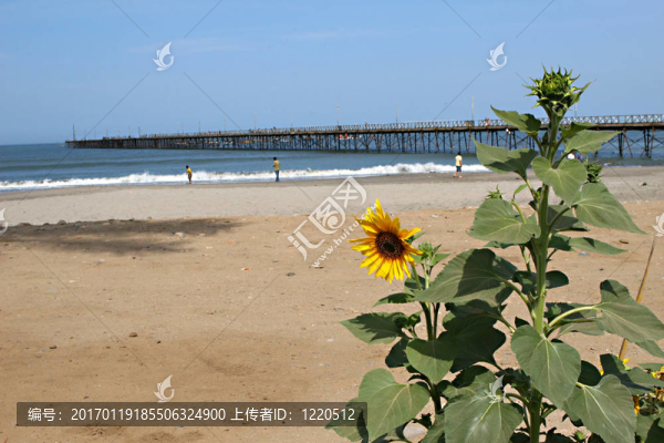 秘魯海灘碼頭