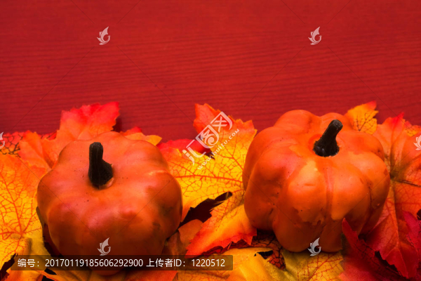 秋天的邊境-匯圖網(wǎng) www.fosd68.com 秋天的邊境