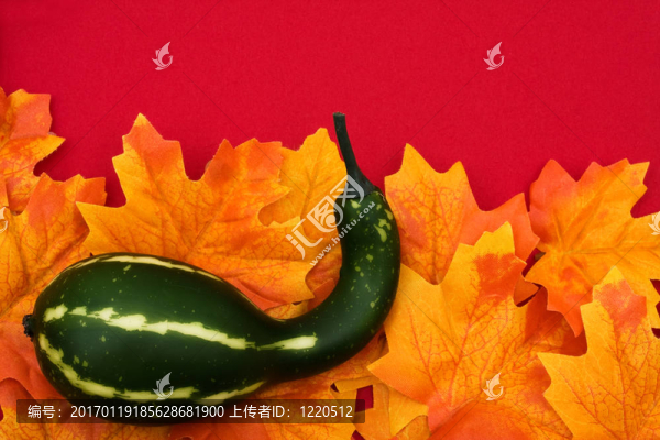 秋天的邊境