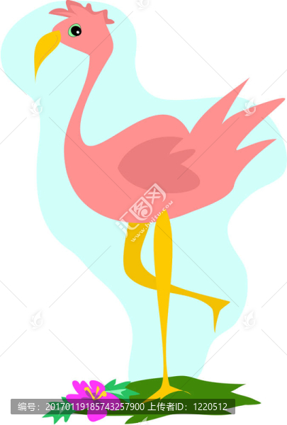 粉紅火烈鳥(niǎo)