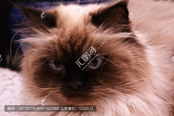 向下看