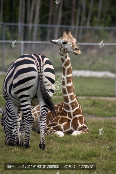 結(jié)束接近-匯圖網(wǎng) www.fosd68.com 結(jié)束接近
