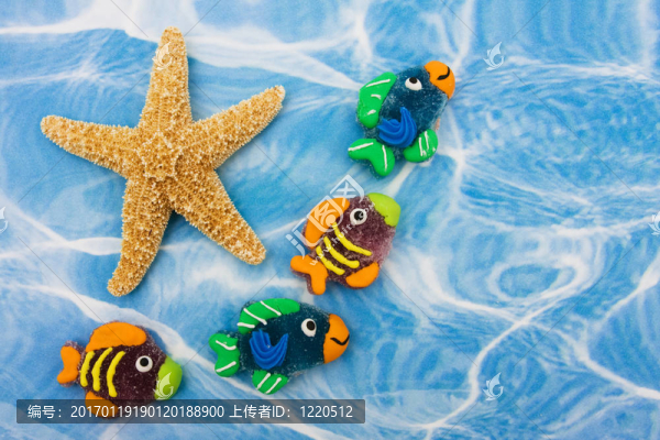 多彩的魚的邊界