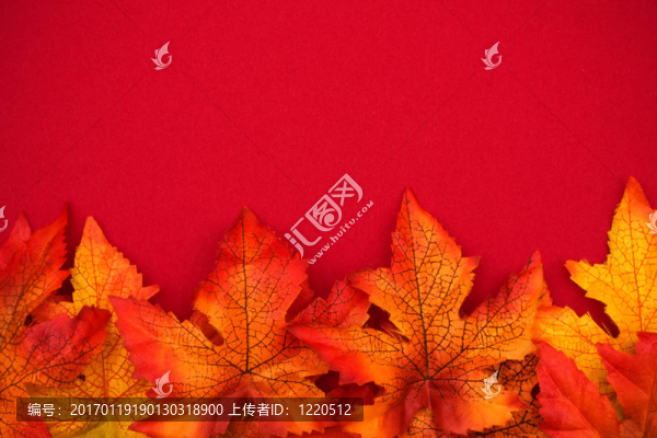彩色落背景幀