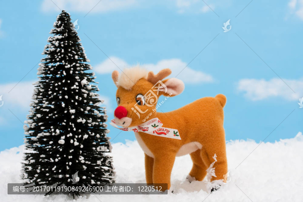 馴鹿-匯圖網(wǎng) www.fosd68.com 馴鹿