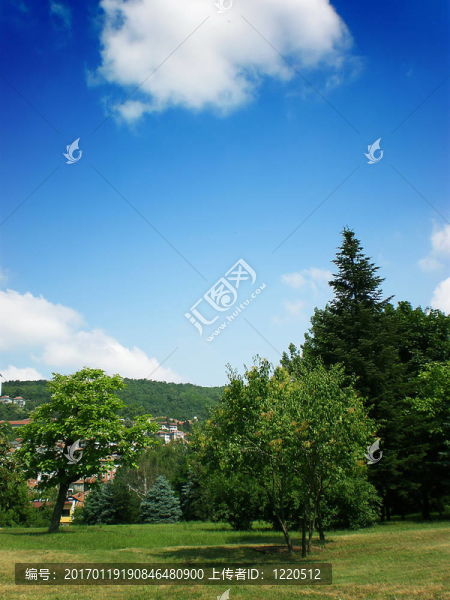 景觀