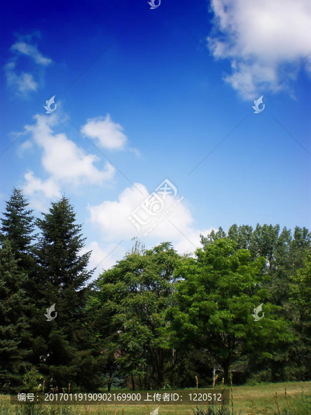 景觀-匯圖網(wǎng) www.fosd68.com 景觀