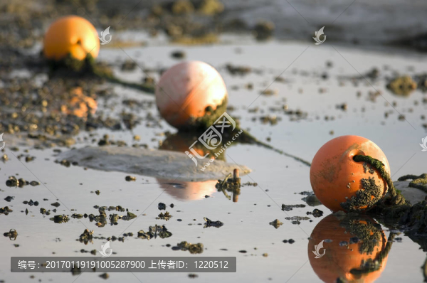 釣魚浮標