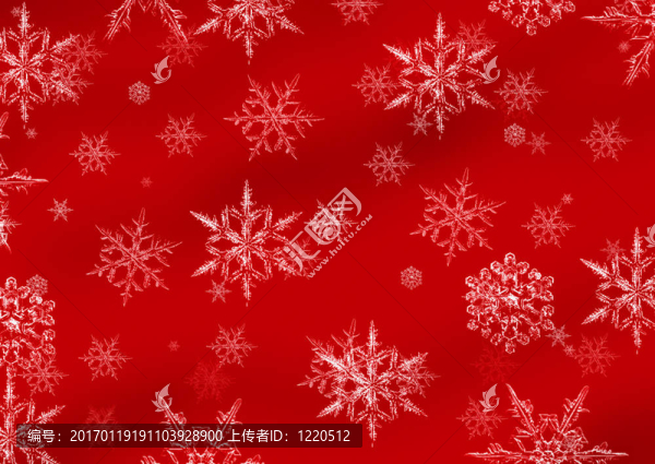 雪花紅