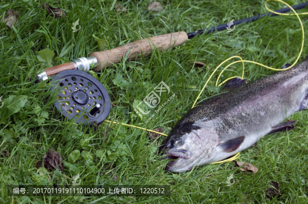 飛釣