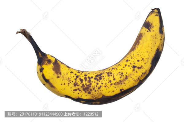 麻黃