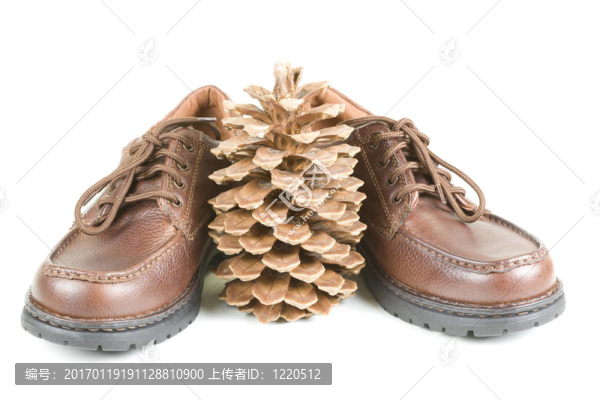 布朗和布朗