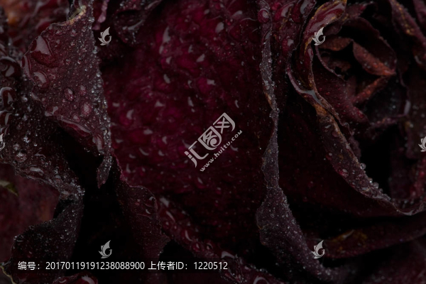紅玫瑰干