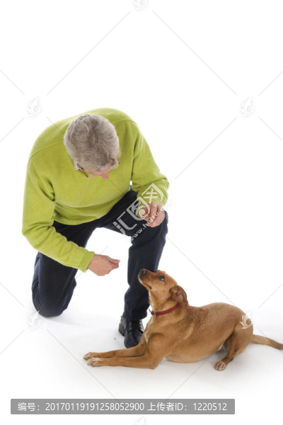 訓練狗