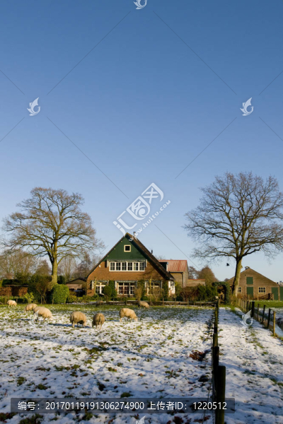 冬季景觀與農(nóng)家樂(lè)-匯圖網(wǎng) www.fosd68.com 冬季景觀與農(nóng)家樂(lè)