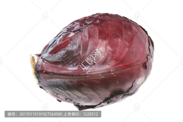 紅甘藍(lán)