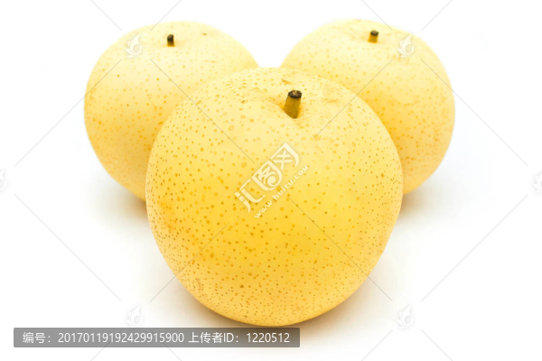 沙梨