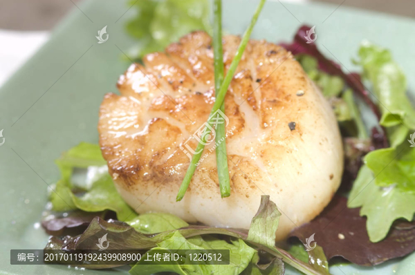 扇貝