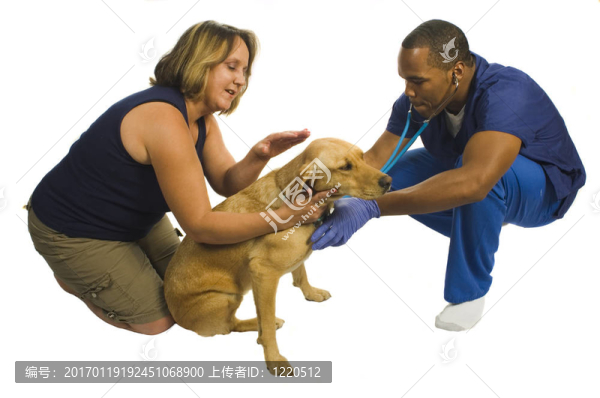 年輕的非裔美國人獸醫(yī)狗和主人